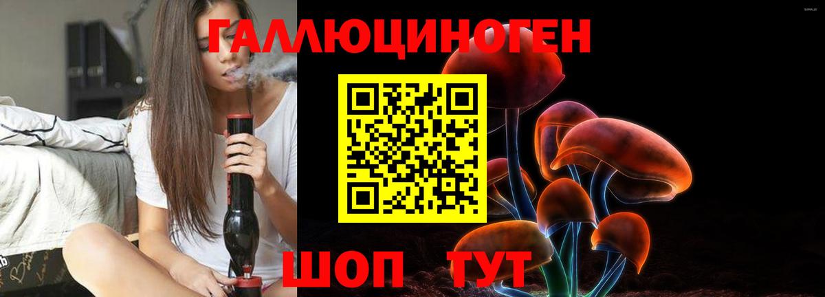 Галлюциногенные грибы Psilocybe Минеральные Воды